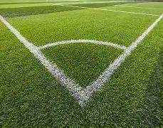 戴維斯盼波,斯特科格魯,展現新風貌,世界杯下注,2026世界杯,投注技巧,赔率分析,竞彩推荐